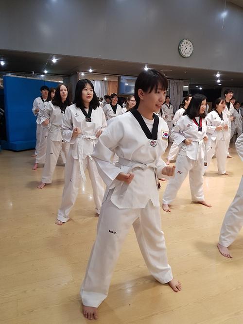 Korean Culture Experience(Taekwondo)